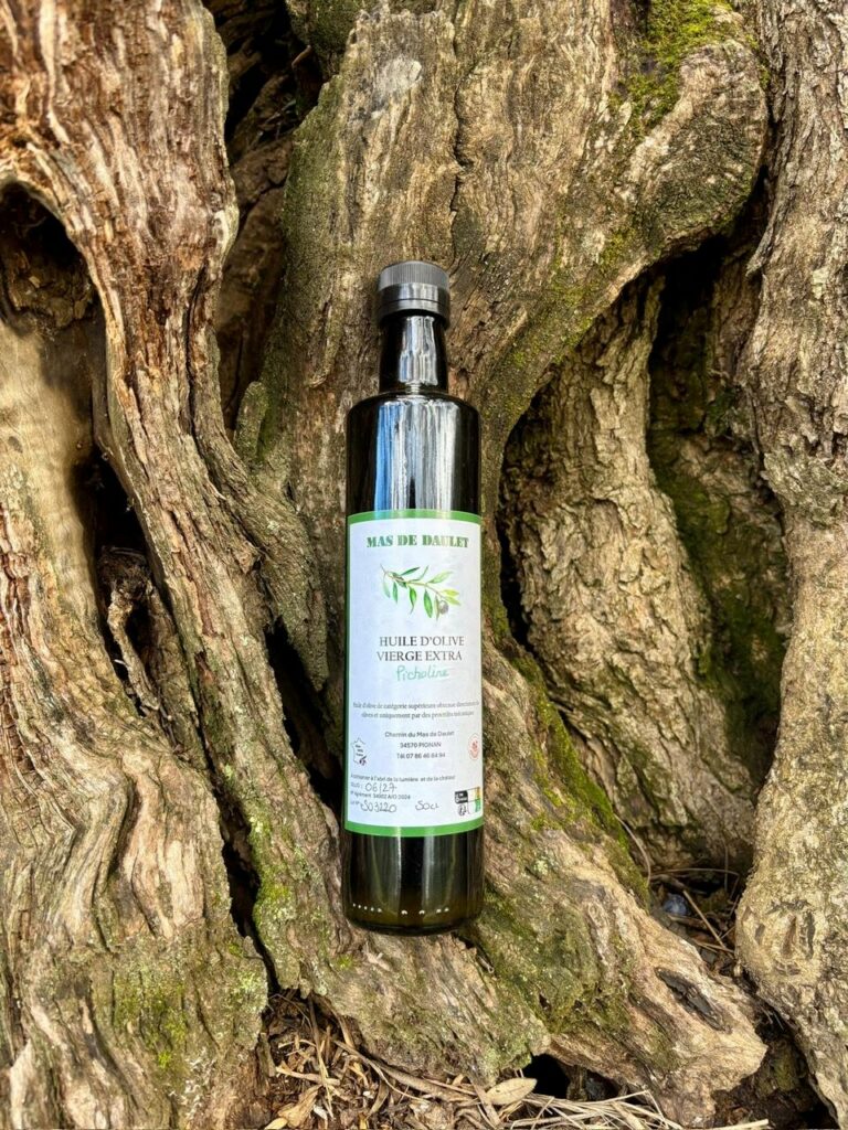 Picholine 50cl en lot - Mas de Daulet