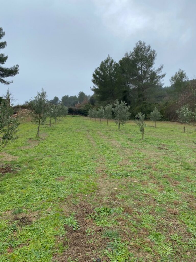 plantier clermontaises